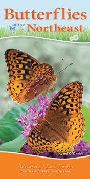 Front cover of Butterflies of the Northeast.