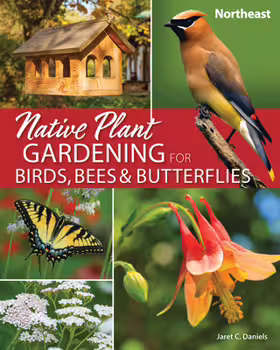 Native Plant Gardening for Birds, Bees & Butterflies.  Northeast - Nature-Friendly Gardens