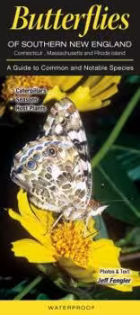 Connecticut Animals