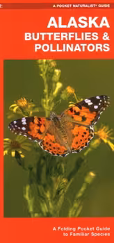 Front cover of Alaska Butterflies and Pollinators by James Kavanagh.
