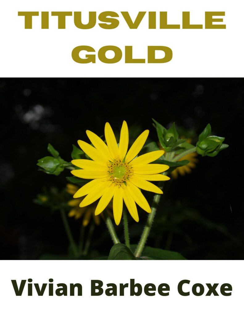 Titusville Gold.