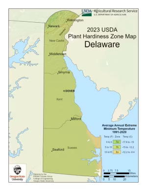 Delaware