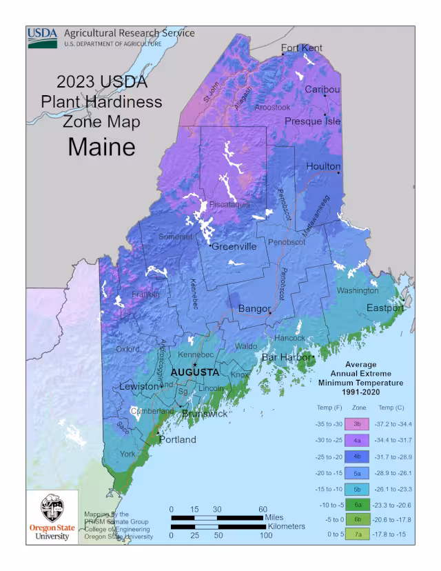 Plant hardiness zones in the state of Maine.