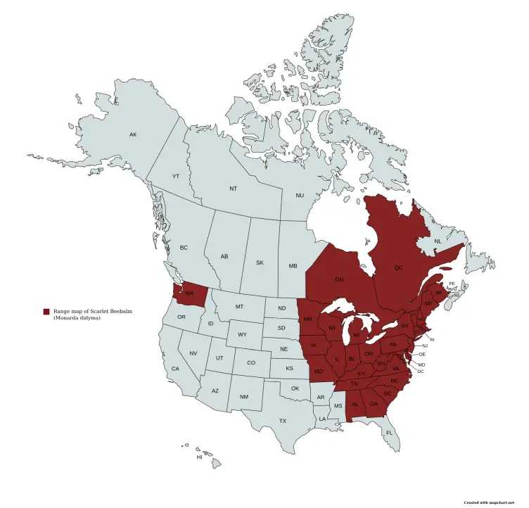 Range map of scarlet beebalm (Monarda didyma).