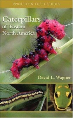 Caterpillars of Eastern North America : A Guide to Identification and Natural History || David L. Wagner